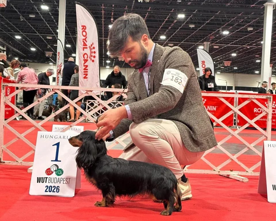 Garden Director Hera — Campionessa Italiana di Bellezza